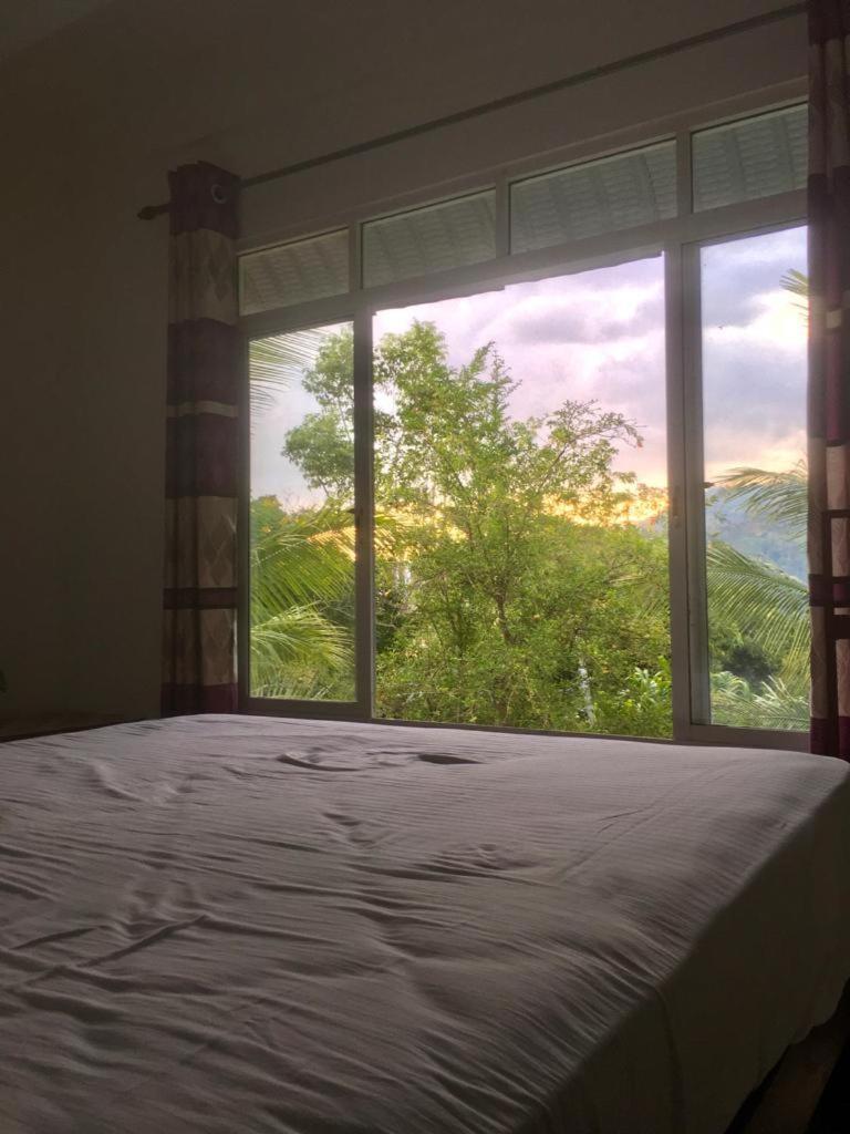 Misty View Inn Элла Экстерьер фото